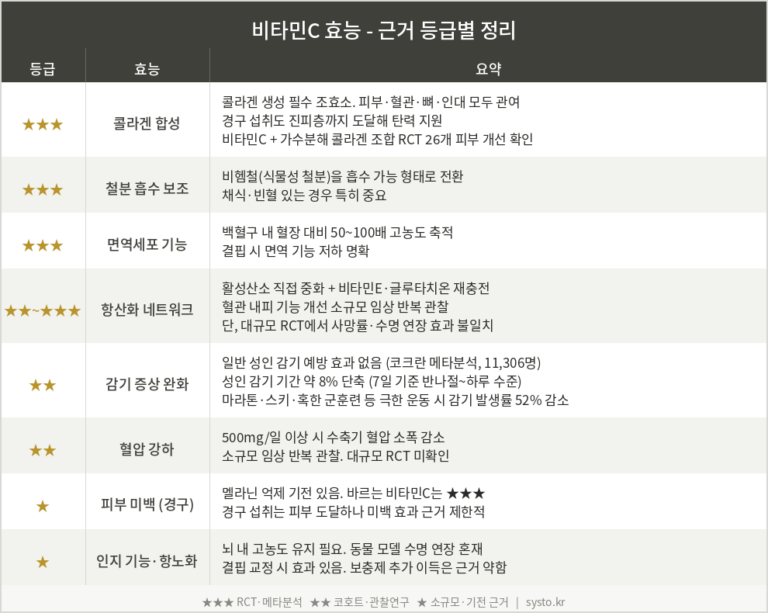 비타민C 효능 – 약학박사가 근거 등급 총정리했습니다!